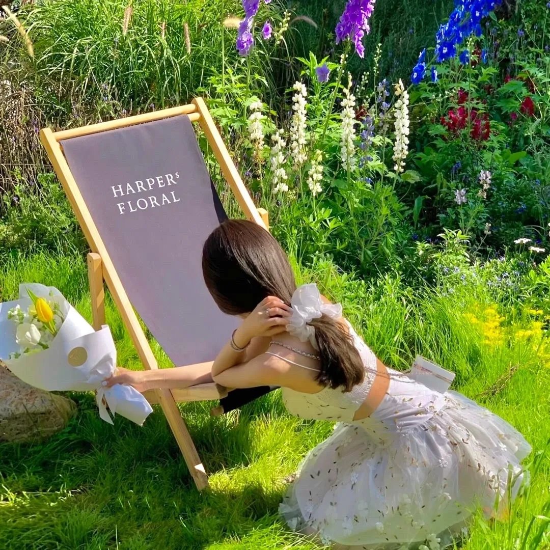 红辣椒 海报